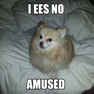 i-ees-no-amused