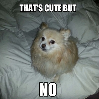 thats-cute-but-no