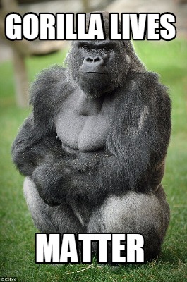 gorilla-lives-matter1