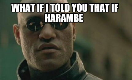 what-if-i-told-you-that-if-harambe