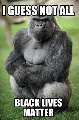 i-guess-not-all-black-lives-matter