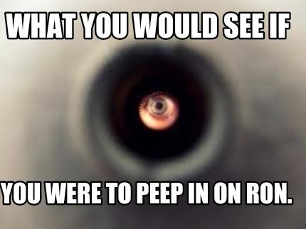 what-you-would-see-if-you-were-to-peep-in-on-ron
