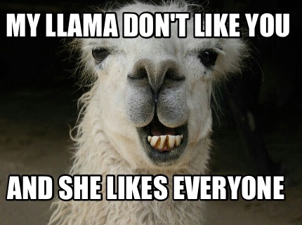 my-llama-dont-like-you-and-she-likes-everyone3