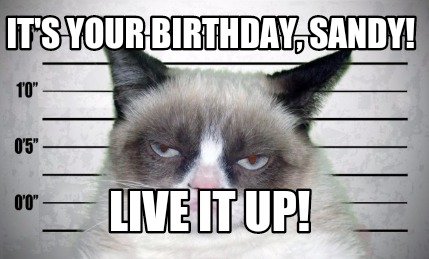 its-your-birthday-sandy-live-it-up
