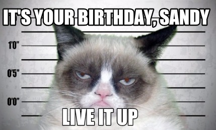 its-your-birthday-sandy-live-it-up5