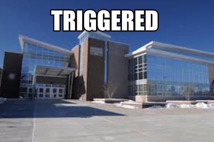 triggered03