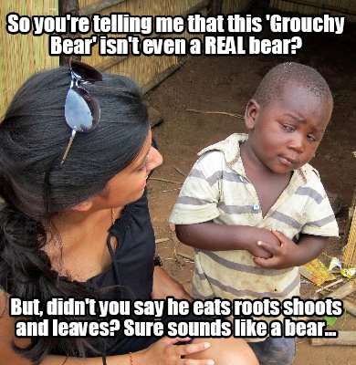 so-youre-telling-me-that-this-grouchy-bear-isnt-even-a-real-bear-but-didnt-you-s