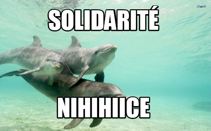 solidarit-nihihiice