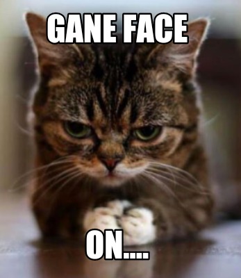 gane-face-on