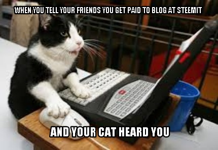 when-you-tell-your-friends-you-get-paid-to-blog-at-steemit-and-your-cat-heard-yo