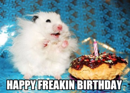 Meme Maker - Happy freakin birthday Meme Generator!