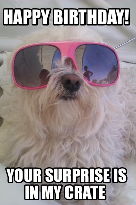 happy-birthday-your-surprise-is-in-my-crate