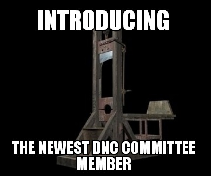 introducing-the-newest-dnc-committee-member
