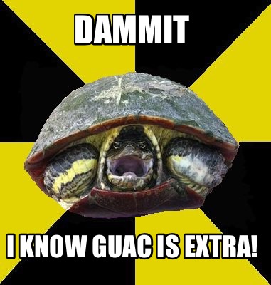 dammit-i-know-guac-is-extra