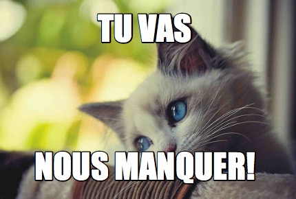 Meme Maker - Tu vas nous manquer! Meme Generator!