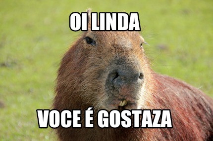 oi-linda-voce-gostaza