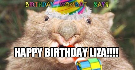 happy-birthday-liza4