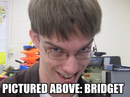 pictured-above-bridget1