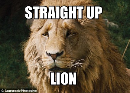 straight-up-lion