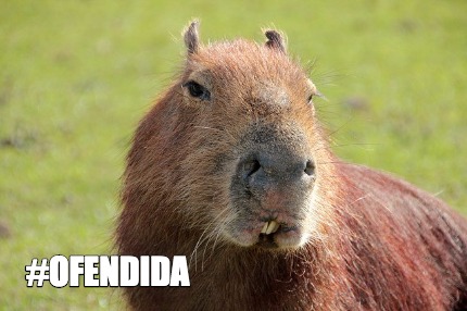 ofendida
