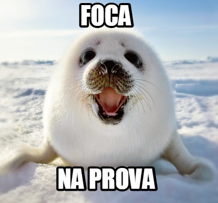 foca-na-prova