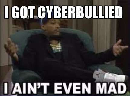 i-got-cyberbullied