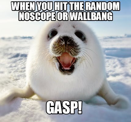 when-you-hit-the-random-noscope-or-wallbang-gasp
