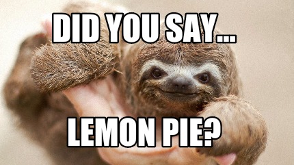 did-you-say...-lemon-pie