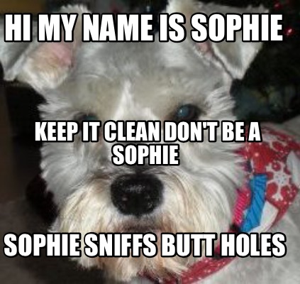 hi-my-name-is-sophie-sophie-sniffs-butt-holes-keep-it-clean-dont-be-a-sophie