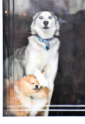 me-waiting-for-you-to-arrive