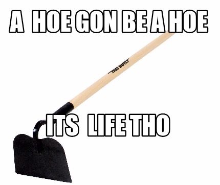 a-hoe-gon-be-a-hoe-its-life-tho