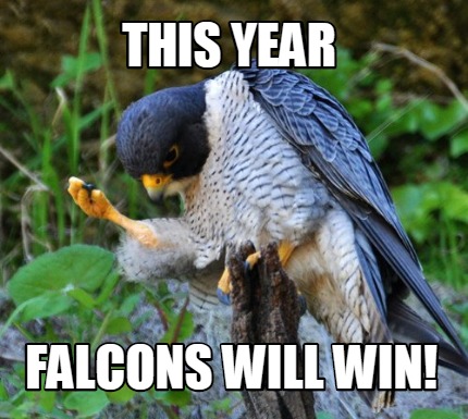 this-year-falcons-will-win