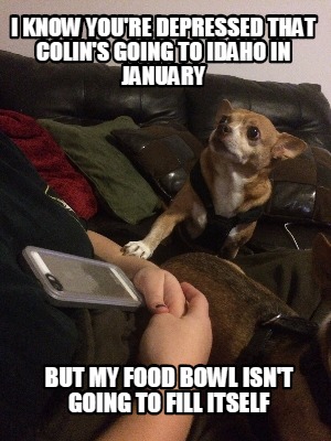 i-know-youre-depressed-that-colins-going-to-idaho-in-january-but-my-food-bowl-is