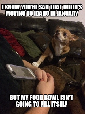 i-know-youre-sad-that-colins-moving-to-idaho-in-january-but-my-food-bowl-isnt-go