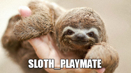 sloth_playmate