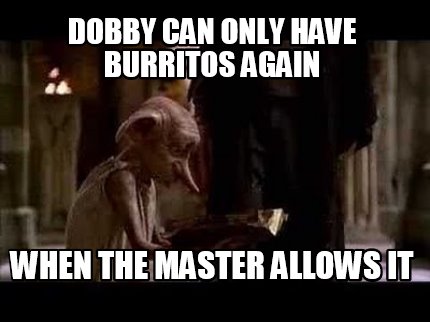 dobby-can-only-have-burritos-again-when-the-master-allows-it