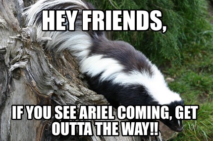 hey-friends-if-you-see-ariel-coming-get-outta-the-way