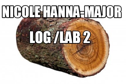 nicole-hanna-major-log-lab-2
