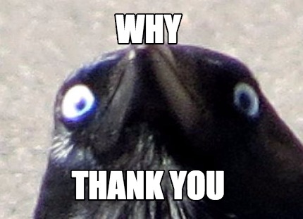 why-thank-you9