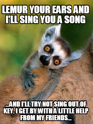 lemur-your-ears-and-ill-sing-you-a-song-...and-ill-try-not-sing-out-of-key.-i-ge