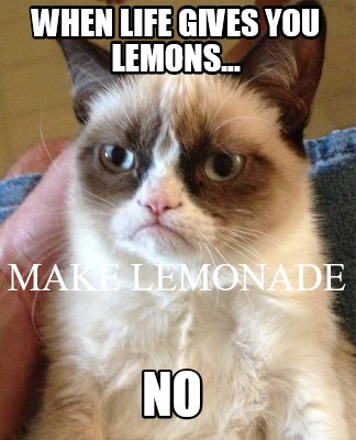 when-life-gives-you-lemons...-no-make-lemonade
