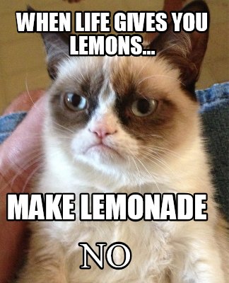 when-life-gives-you-lemons...-make-lemonade-no