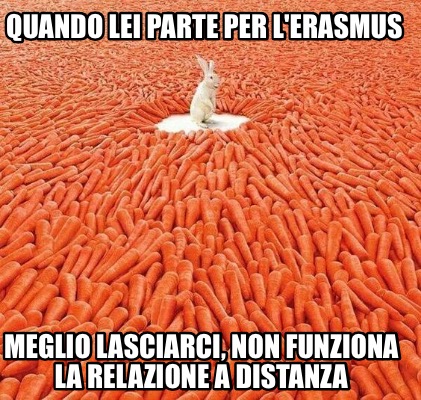 quando-lei-parte-per-lerasmus-meglio-lasciarci-non-funziona-la-relazione-a-dista