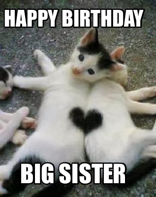 Meme Maker - Happy Birthday Big Sister Meme Generator!