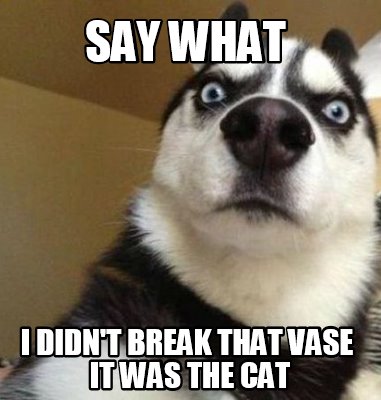 Meme Maker Say What I Didn T Break That Vase It Was The Cat Meme Generator Meme Maker Say What I Didn T Break That Vase It Was The Cat Meme Generator