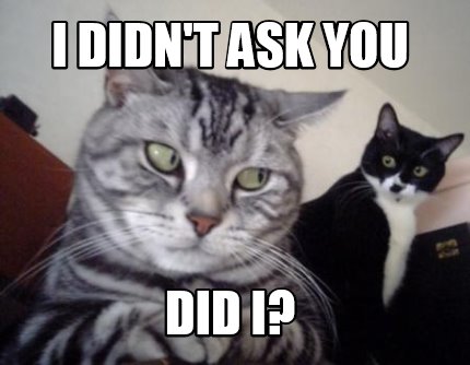 Meme Maker I Didn T Ask You Did I Meme Generator Meme Maker I Didn T Ask You Did I Meme Generator
