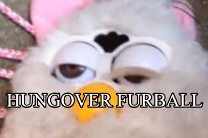 hungover-furball