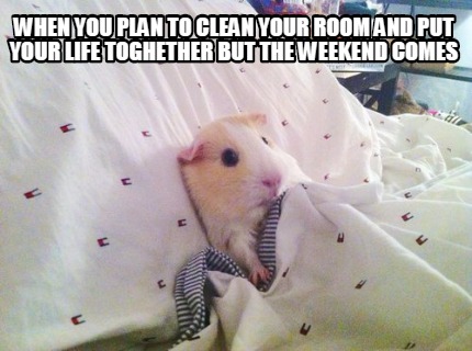 when-you-plan-to-clean-your-room-and-put-your-life-toghether-but-the-weekend-com