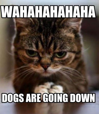 wahahahahaha-dogs-are-going-down