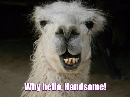 Meme Maker - Why hello, Handsome! Meme Generator! Meme Maker - Why hello, Handsome! Meme Generator!